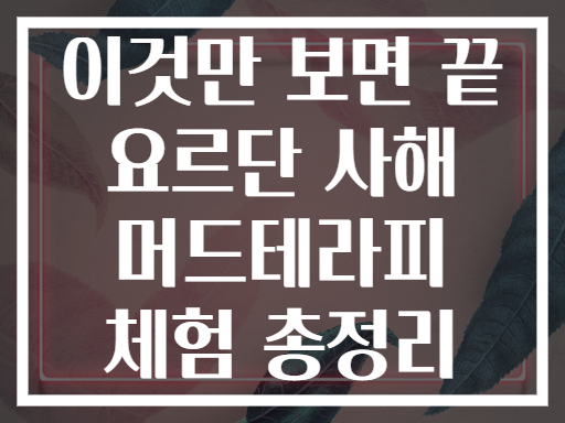 이것만 보면 끝 요르단 사해 머드테라피 체험 총정리