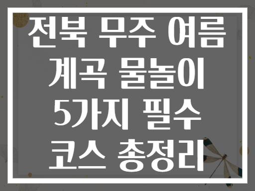 전북 무주 여름 계곡 물놀이 5가지 필수 코스 총정리