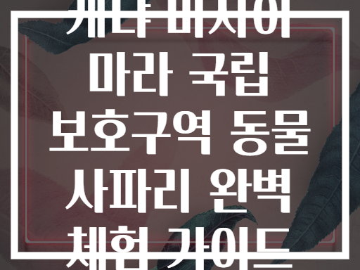 케냐 마사이 마라 국립 보호구역 동물 사파리 완벽 체험 가이드