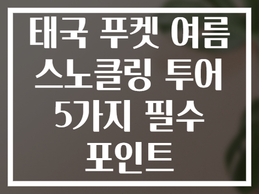 태국 푸켓 여름 스노클링 투어 5가지 필수 포인트