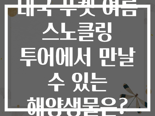 태국 푸켓 여름 스노클링 투어에서 만날 수 있는 해양생물은?