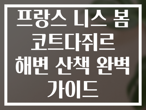 프랑스 니스 봄 코트다쥐르 해변 산책 완벽 가이드