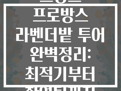 프랑스 프로방스 라벤더밭 투어 완벽정리: 최적기부터 촬영팁까지