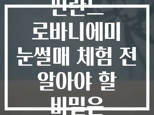 핀란드 로바니에미 눈썰매 체험 전 알아야 할 비밀은