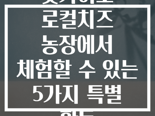 홋카이도 로컬치즈 농장에서 체험할 수 있는 5가지 특별 활동