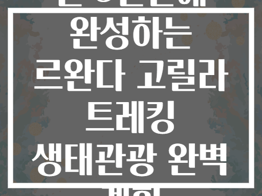 단 5일만에 완성하는 르완다 고릴라 트레킹 생태관광 완벽 계획