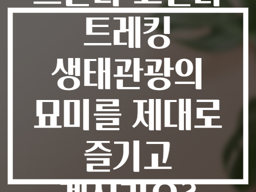 르완다 고릴라 트레킹 생태관광의 묘미를 제대로 즐기고 계신가요?