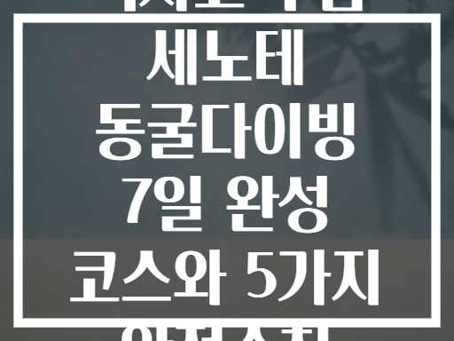 멕시코 투룸 세노테 동굴다이빙 7일 완성 코스와 5가지 안전수칙