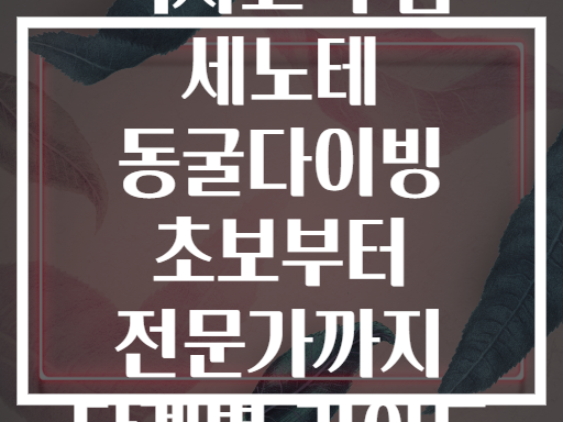 멕시코 투룸 세노테 동굴다이빙 초보부터 전문가까지 단계별 가이드