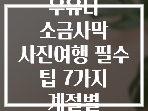 볼리비아 우유니 소금사막 사진여행 필수 팁 7가지 계절별 촬영비법