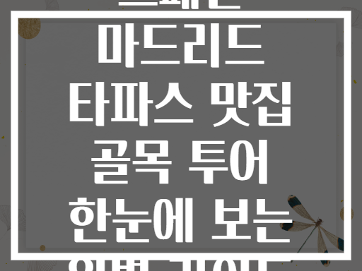 스페인 마드리드 타파스 맛집 골목 투어 한눈에 보는 완벽 가이드