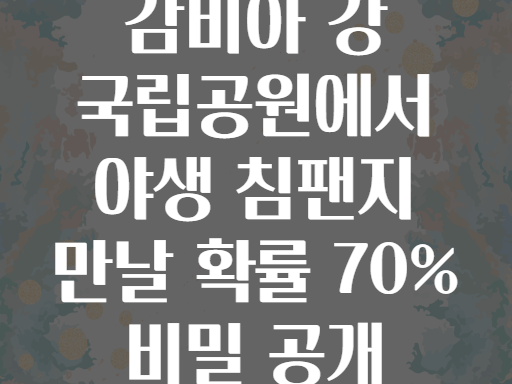 감비아 강 국립공원! 침팬지 섬에서 야생 침팬지를 만날 확률은?