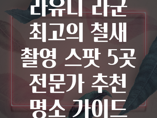 라유니 라군! 철새 사진 전문가들이 꼽은 최고의 촬영 스팟