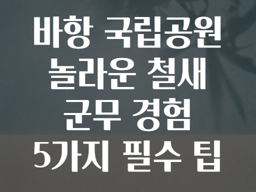 바항 국립공원! 수만마리 철새의 군무에 압도당하는 놀라운 경험