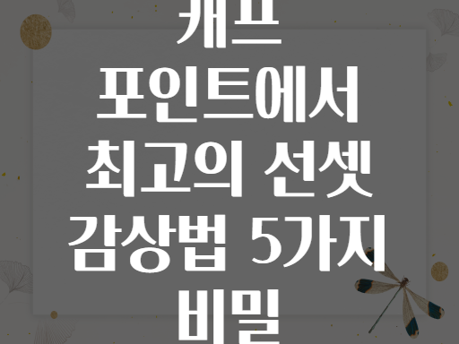 비지로 해변! &#039;캐프 포인트&#039;에서 즐기는 최고의 선셋 감상법