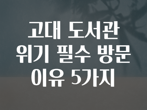 시기트 엘함라! 사라질 위기의 고대 도서관 방문해야 하는 이유