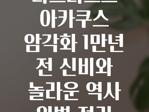 타드라르트 아카쿠스 암각화! 1만년 전으로 떠나는 놀라운 경험