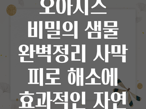 테르지트 오아시스! 사막의 피로를 싹 풀어주는 비밀의 샘물