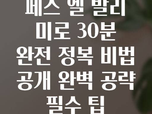 페스 엘 발리 미로 완벽 공략! 30분만에 주파하는 비법 공개