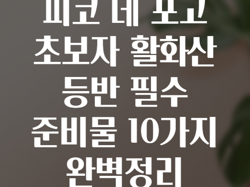 피코 데 포고 활화산 등반! 초보자를 위한 완벽 준비물 리스트