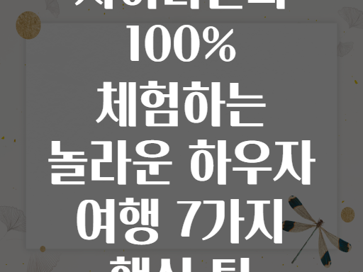 하우자! 사하라위 전통문화 100% 체험하는 특별한 여행